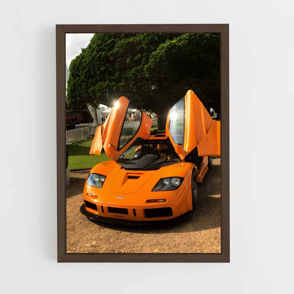 Poster McLaren en Fête (vue 5)